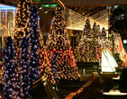 Christmas Wallpapers 147
